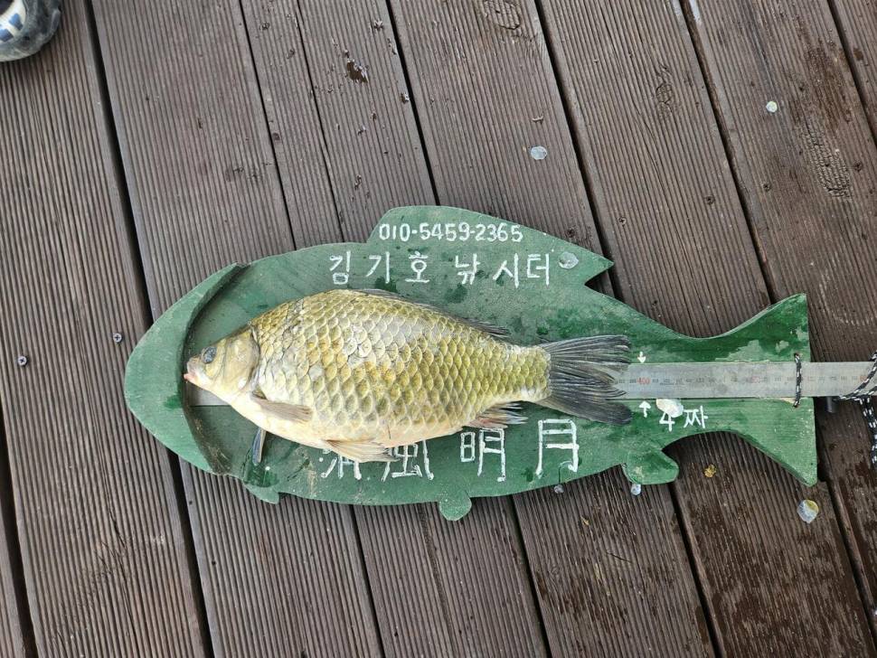 김기호 낚시터 조황정보 입니다 (조황조행기 - 충주호조황속보)