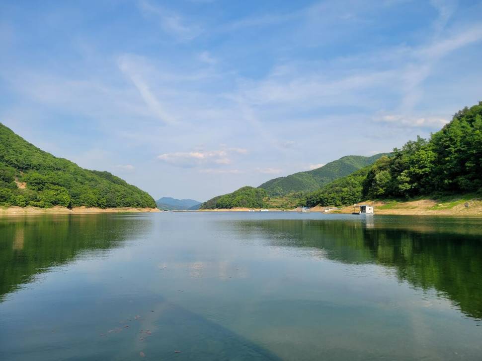 충주호목벌 조황 (조황조행기 - 충주호조황속보)