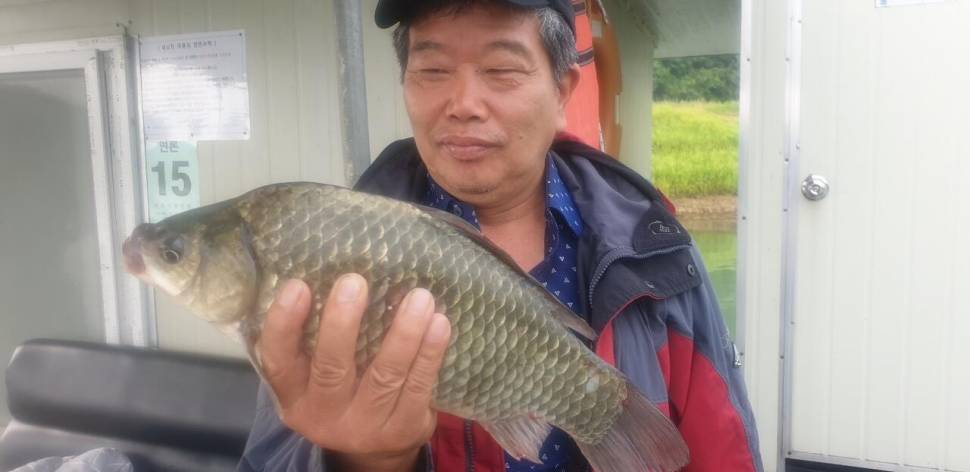 충주호 짱가네낚시터 (조황조행기 - 충주호조황속보)