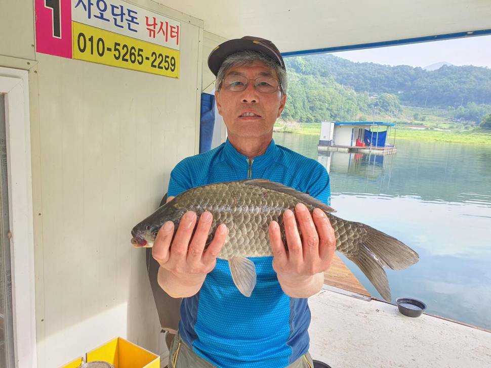 사오단돈 조항올려봅니다 (조황조행기 - 충주호조황속보)