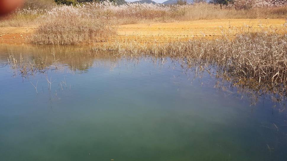 한버들 조황입니다 (조황조행기 - 충주호조황속보)