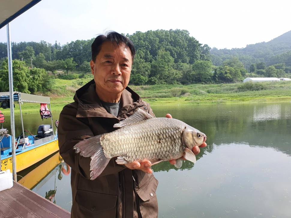 청풍신리낚시터 4짜 5수허리급 2수 조황입니다 (조황조행기 - 충주호조황속보)