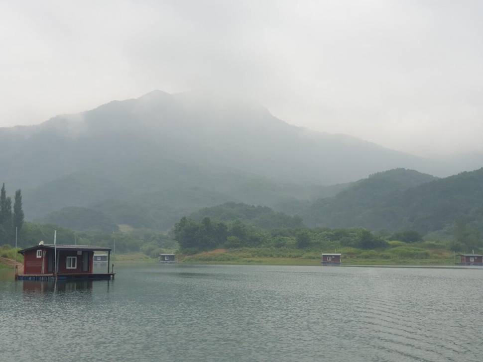 솔낚시터 조황소식 입니다 (조황조행기 - 충주호조황속보)