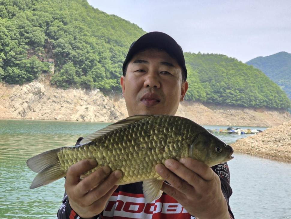 목벌 조황정보 입니다 (조황조행기 - 충주호조황속보)