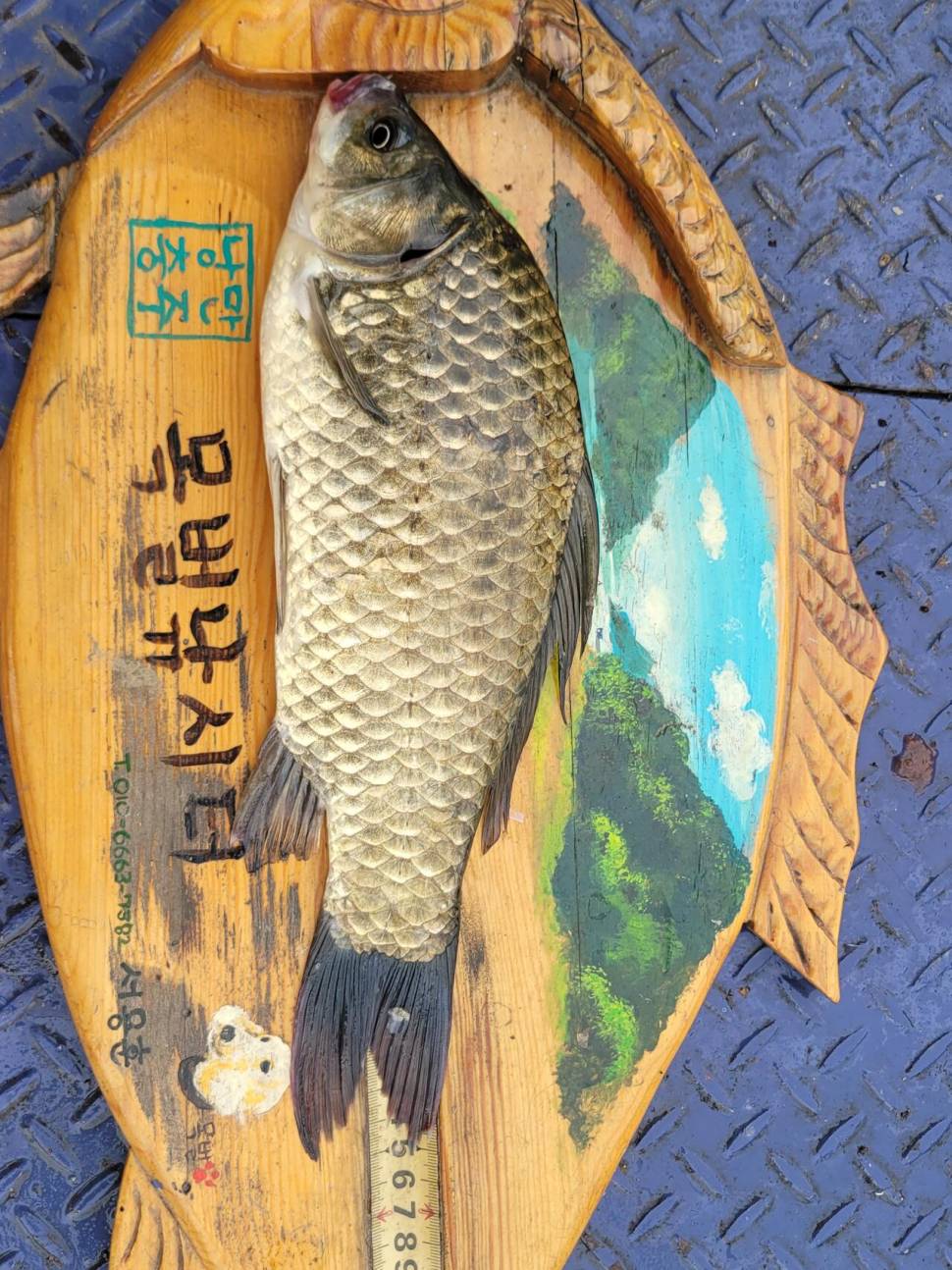 충주호목벌낚시터소식 (조황조행기 - 충주호조황속보)