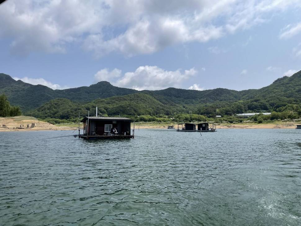 솔낚시터 조황소식입니다 (조황조행기 - 충주호조황속보)