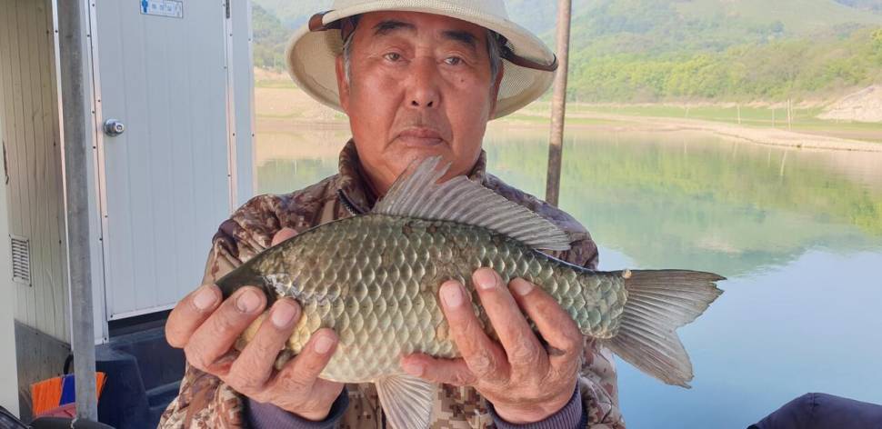 충주호 짱가네낚시터 (조황조행기 - 충주호조황속보)
