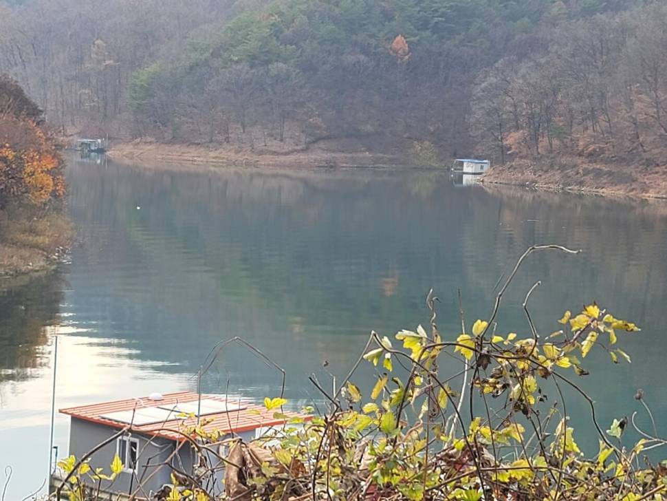 실리곡낚시터 허리급조황입니다 (조황조행기 - 충주호조황속보)