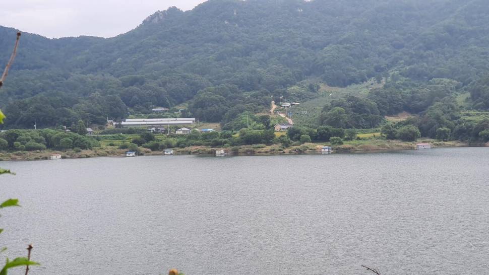 서운리 종점 낚시터입니다 (조황조행기 - 충주호조황속보)