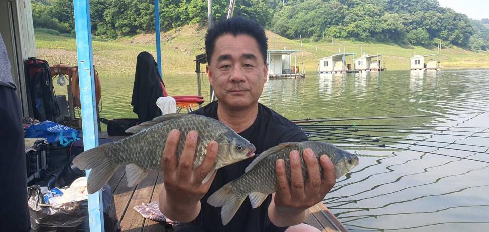 신매낚시터 7월 4일조황 (조황조행기 - 충주호조황속보)