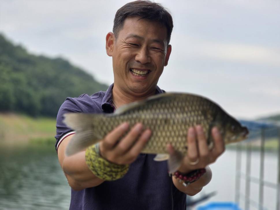 충주호 목벌 조황정보 (조황조행기 - 충주호조황속보)