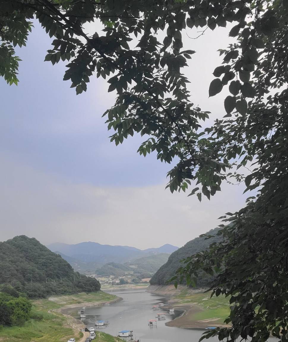 실리곡낚시터 조황입니다 (조황조행기 - 충주호조황속보)