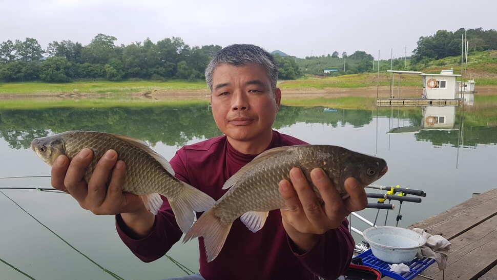 한버들 조황입니다 (조황조행기 - 충주호조황속보)