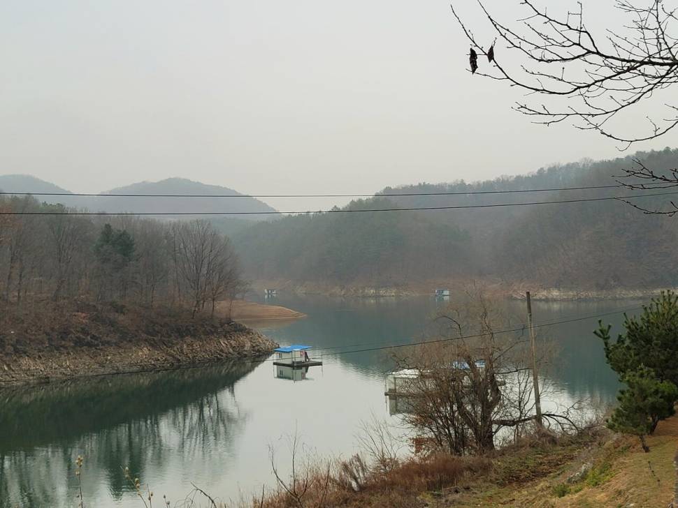 청풍신리낚시터 조황정보입니다 (조황조행기 - 충주호조황속보)