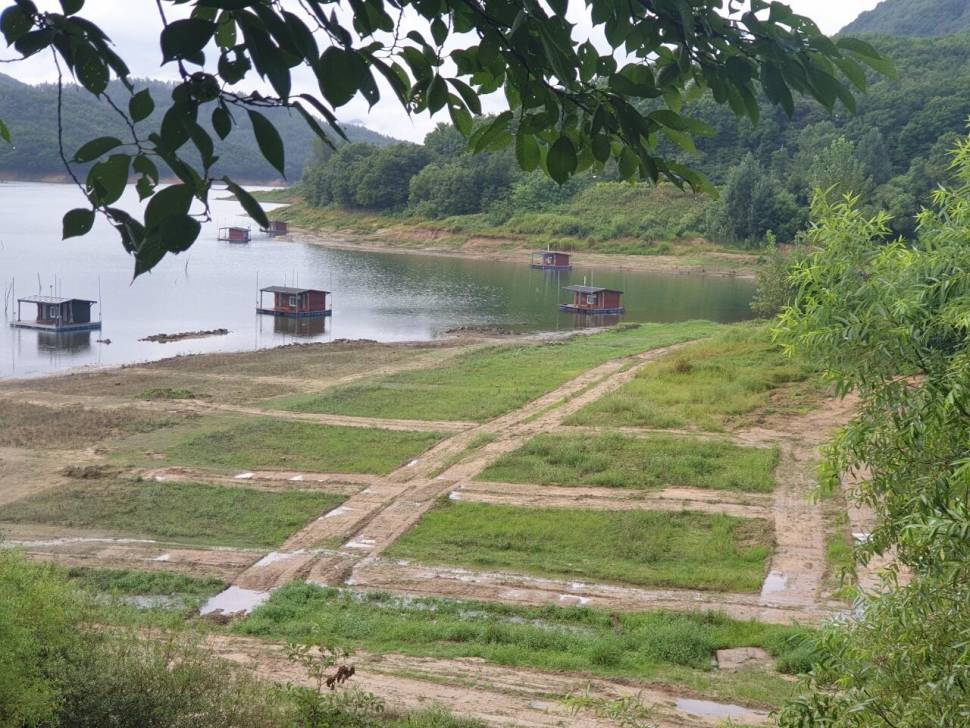 솔낚시터 입니다 (조황조행기 - 충주호조황속보)