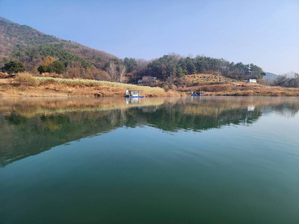 청풍 한버들 4짜및 허릿급 조황입니다 (조황조행기 - 충주호조황속보)