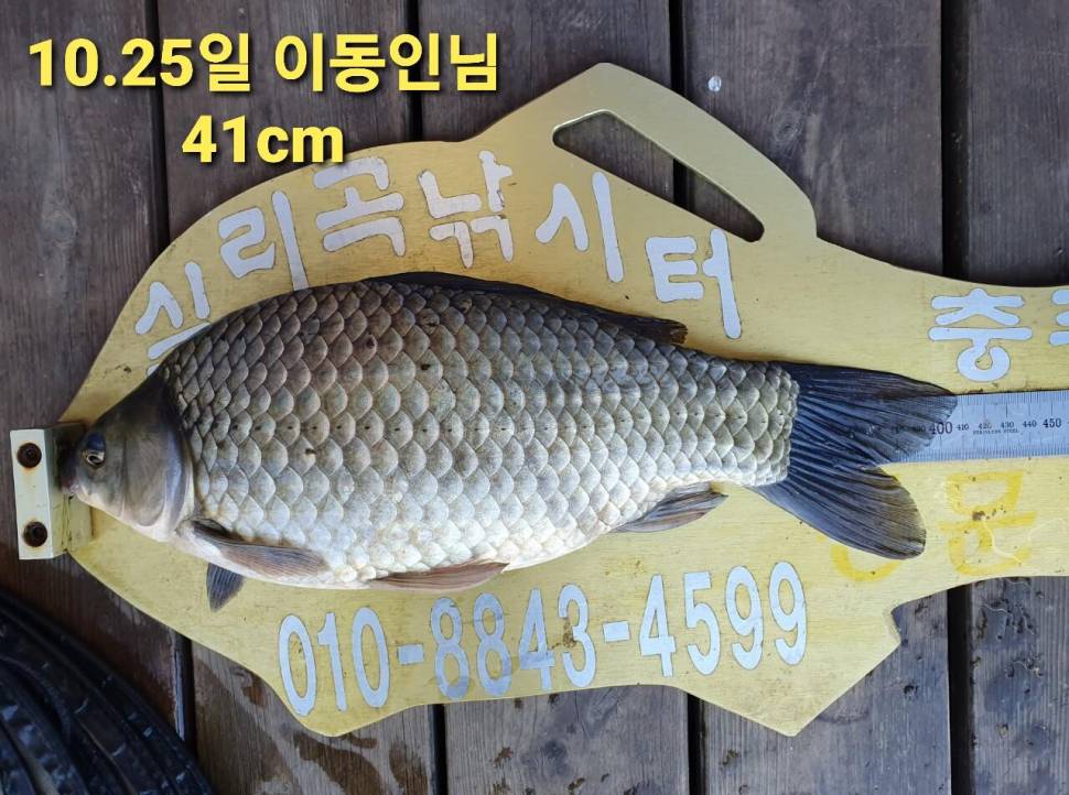 실리곡낚시터 44cm 대물 조황입니다 (조황조행기 - 충주호조황속보)