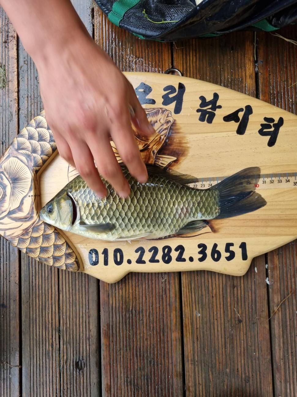 사오리 낚시터 조황정보 (조황조행기 - 충주호조황속보)