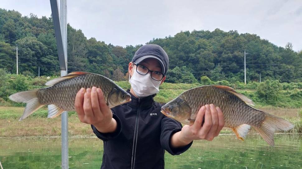 실리곡낚시터 허리급 조황입니다 (조황조행기 - 충주호조황속보)