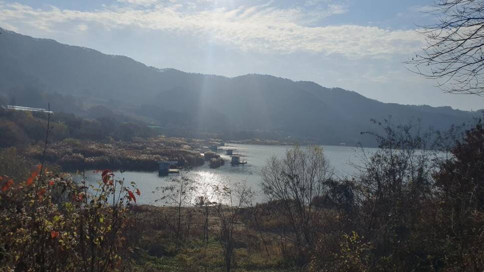종점 낚시터입니다 (조황조행기 - 충주호조황속보)