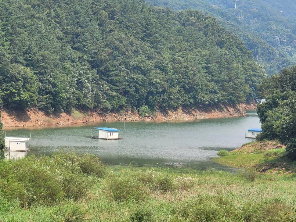 청풍신리낚시터 허리급입니다 (조황조행기 - 충주호조황속보)