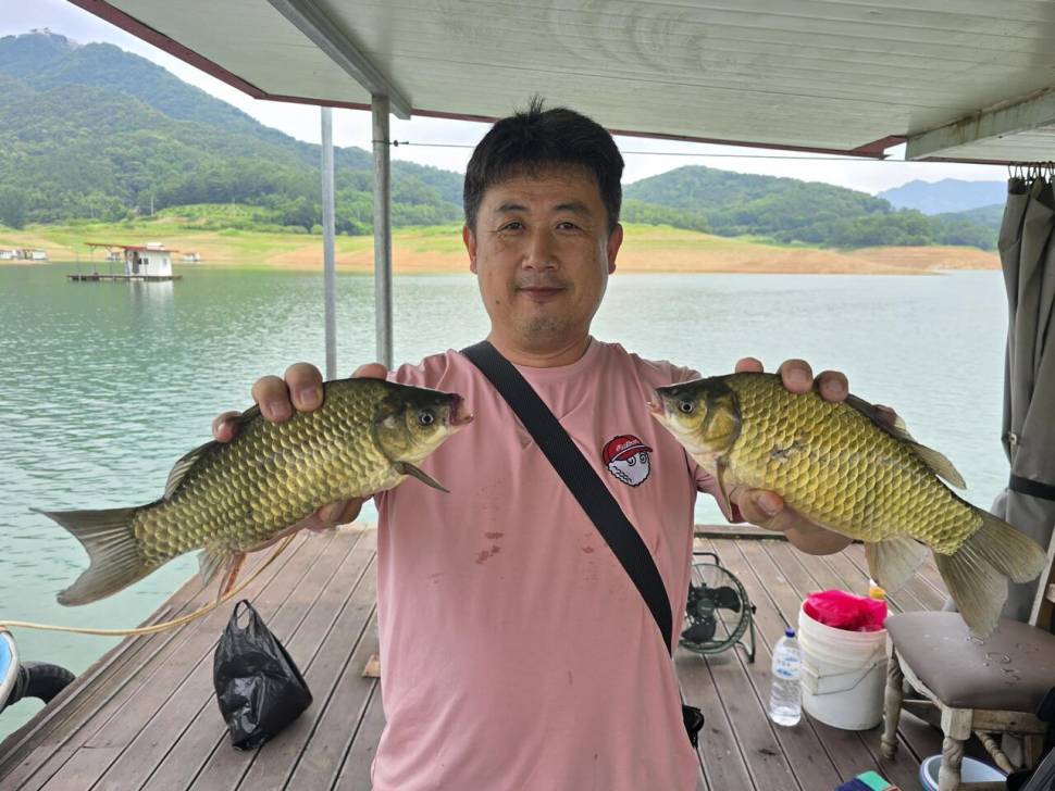 청풍 한버들 조황입니다 (조황조행기 - 충주호조황속보)