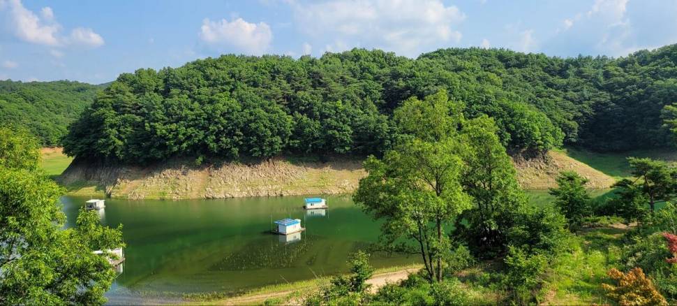 청풍신리낚시터 허리급입니다 (조황조행기 - 충주호조황속보)