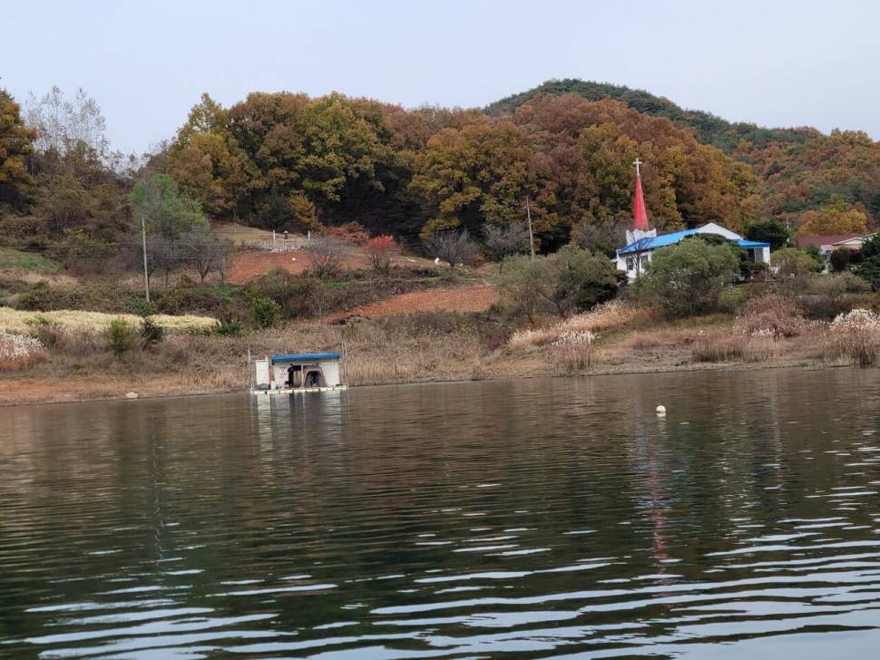 청풍신리낚시터 허리급 조황정보입니다 (조황조행기 - 충주호조황속보)