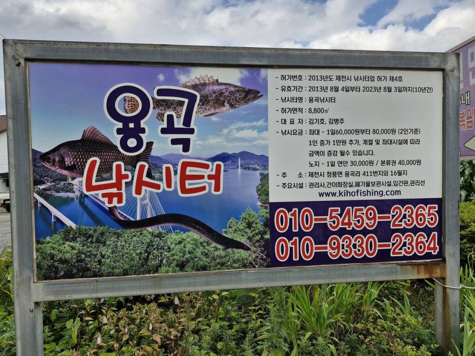 김기호 낚시터 조황정보 입니다 (조황조행기 - 충주호조황속보)