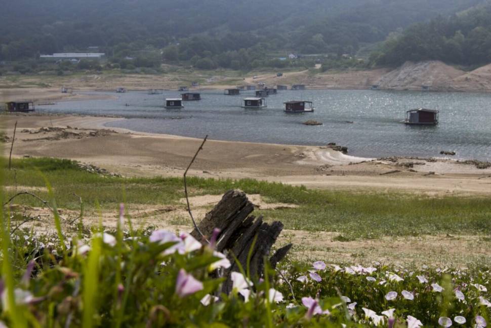솔낚시터 사짜 조황소식 전합니다 (조황조행기 - 충주호조황속보)