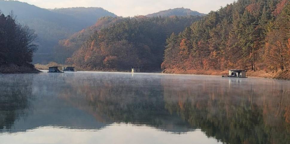 청풍신리낚시터 조황입니다 (조황조행기 - 충주호조황속보)