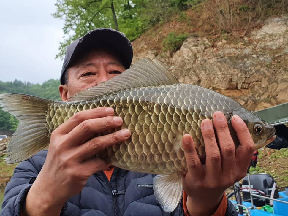 청풍신리낚시터 415cm41cm 조황입니다 (조황조행기 - 충주호조황속보)