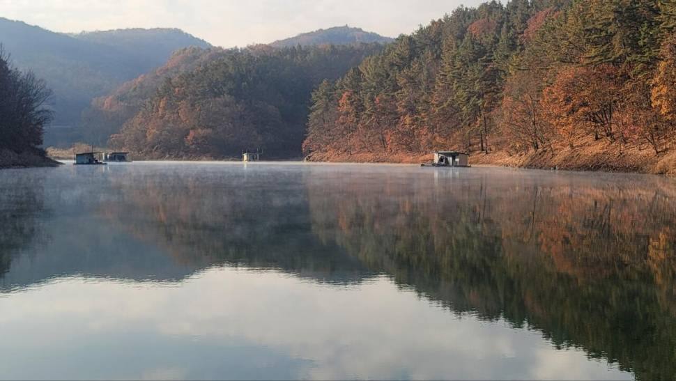 청풍신리낚시터 조황입니다 (조황조행기 - 충주호조황속보)