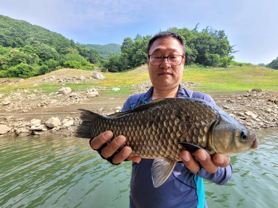 충주호목벌낚시터소식 (조황조행기 - 충주호조황속보)