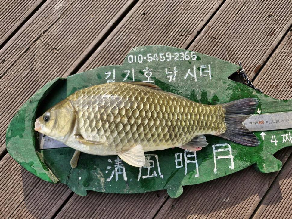 용곡 김기호 낚시터 사짜조황 (조황조행기 - 충주호조황속보)