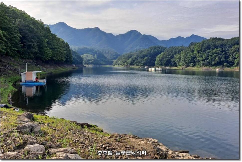 충주호 늘푸른 주중 조황소식 (조황조행기 - 충주호조황속보)