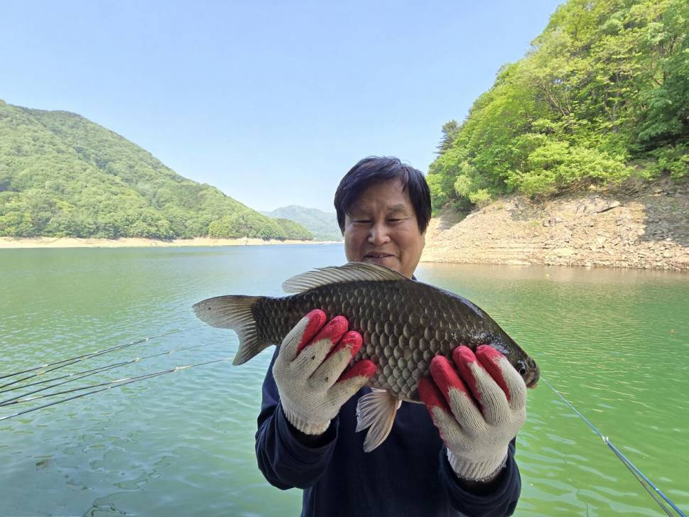 목벌 대물붕어 (조황조행기 - 충주호조황속보)