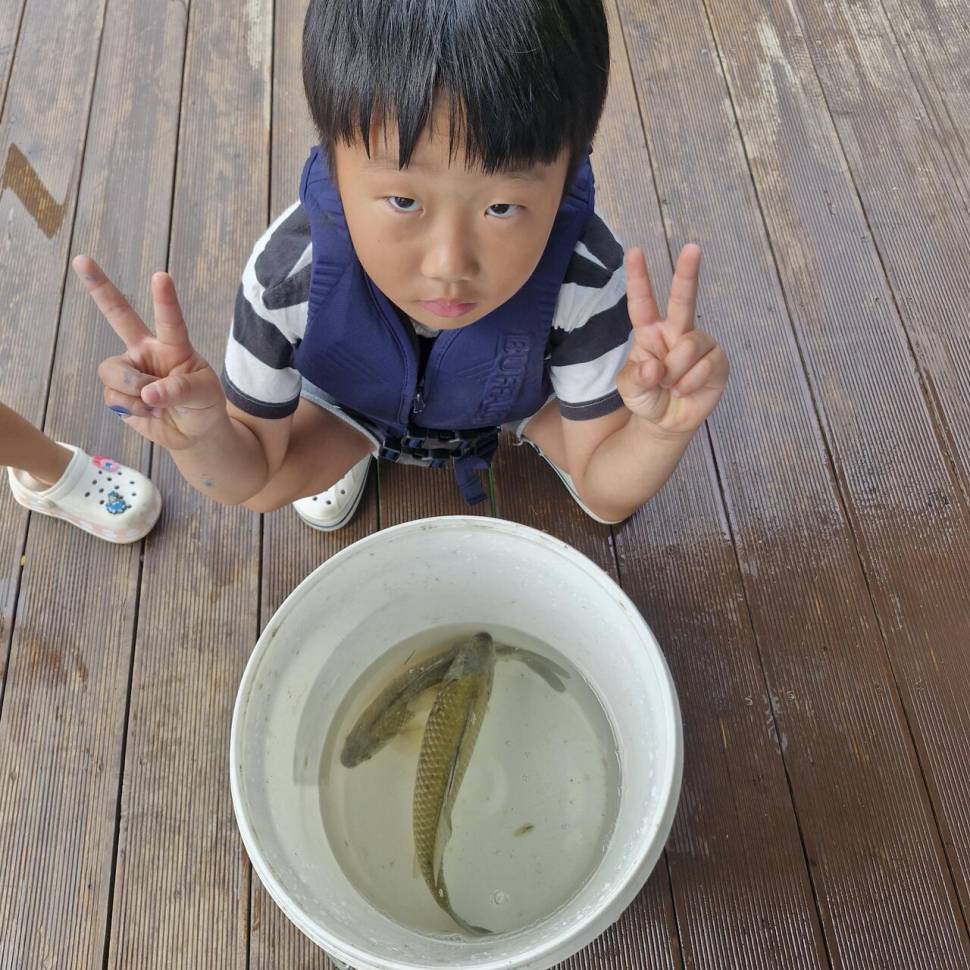 목벌조황정보 (조황조행기 - 충주호조황속보)