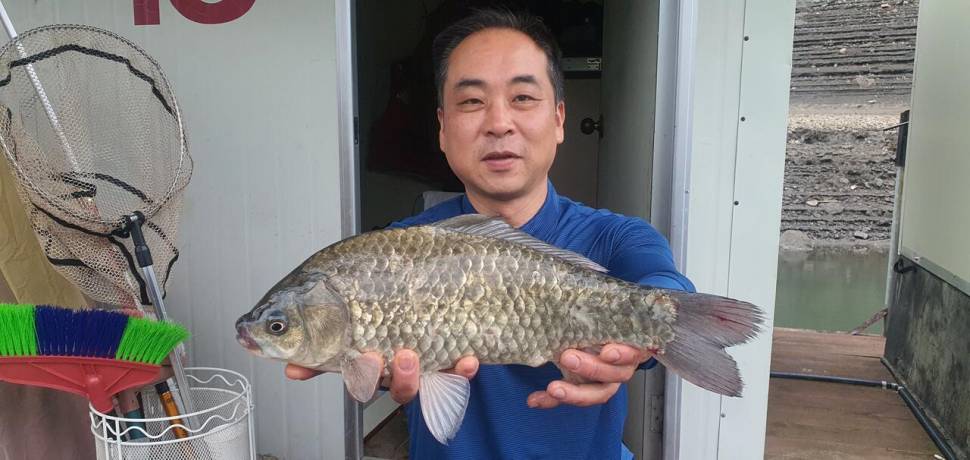 신매낚시터 6월 6일조황 (조황조행기 - 충주호조황속보)