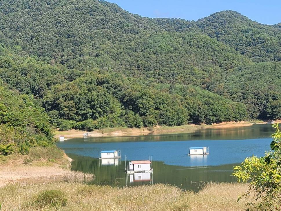 실리곡낚시터 허리급 조황입니다 (조황조행기 - 충주호조황속보)