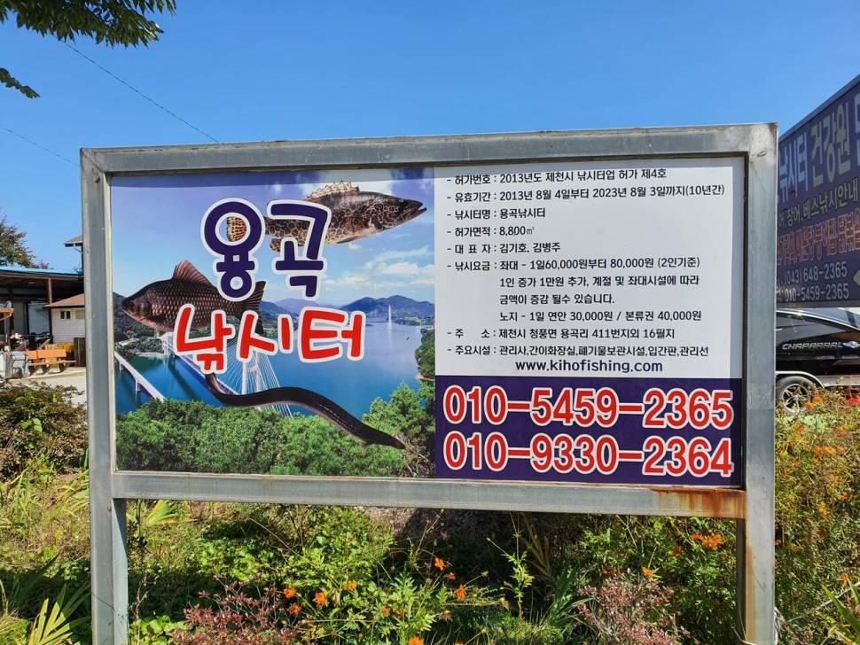 용곡 김기호 낚시터 조황정보 입니다 (조황조행기 - 충주호조황속보)
