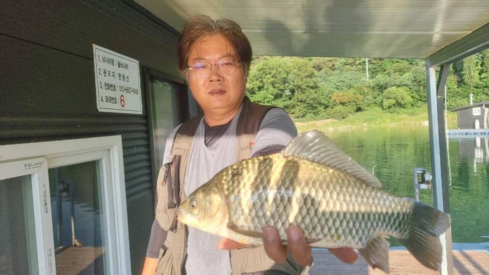 솔낚시터 허리급 조황 소식입니다 (조황조행기 - 충주호조황속보)