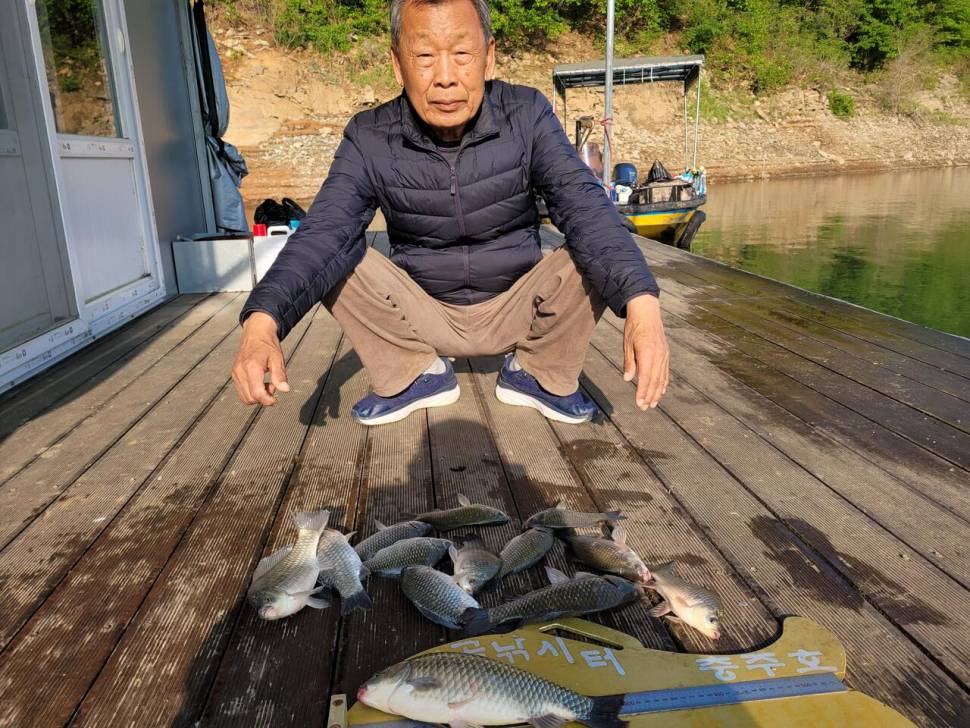 청풍실리곡낚시터 조황입니다 (조황조행기 - 충주호조황속보)