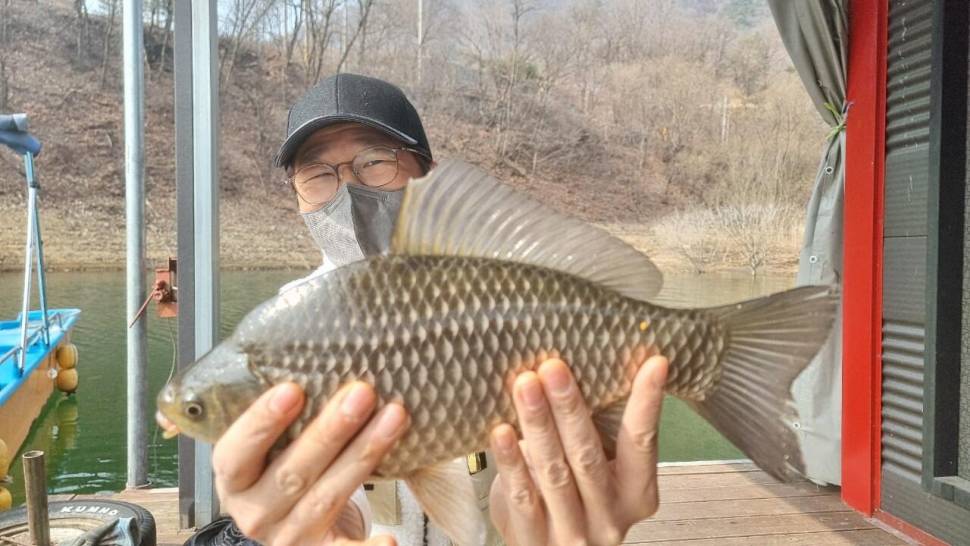솔낚시터 조황 소식입니다 (조황조행기 - 충주호조황속보)