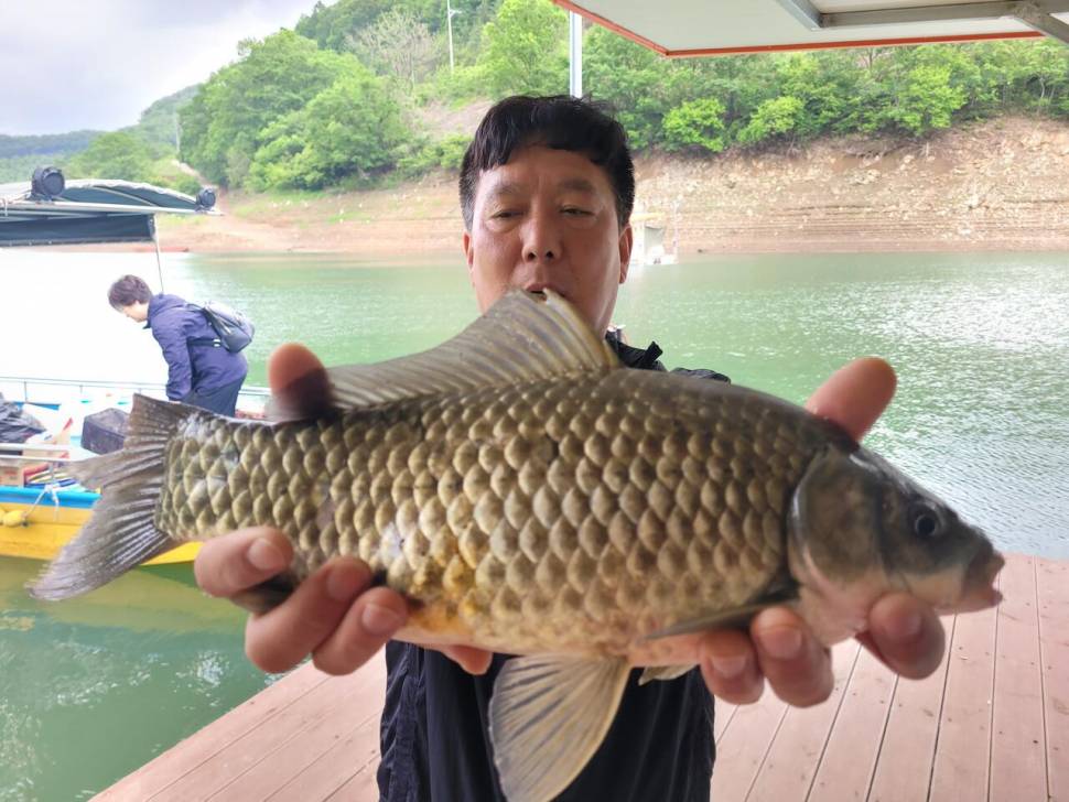 청풍 실리곡낚시터 43cm 대물입니다 (조황조행기 - 충주호조황속보)