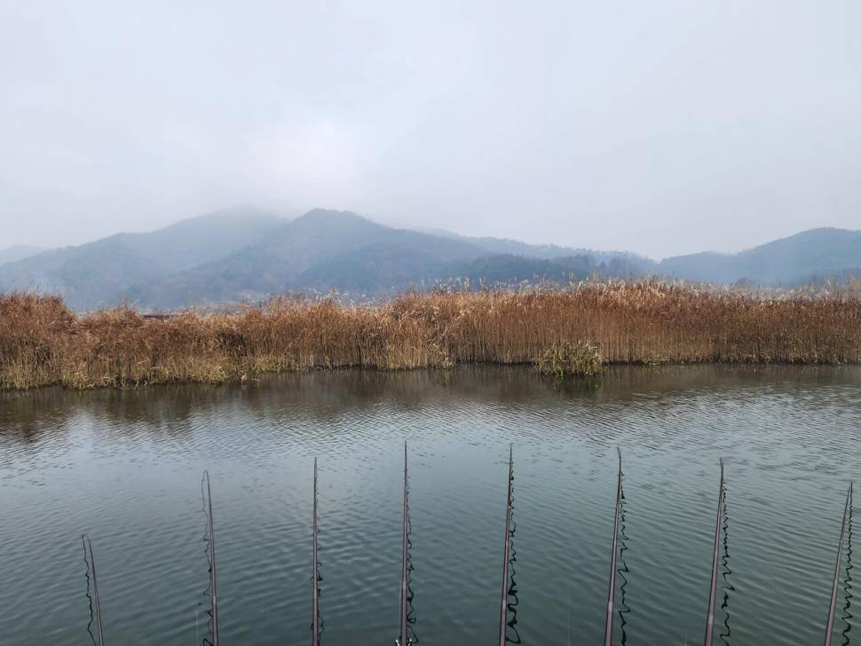 청풍 한버들 4짜및 허릿급 조황입니다 (조황조행기 - 충주호조황속보)