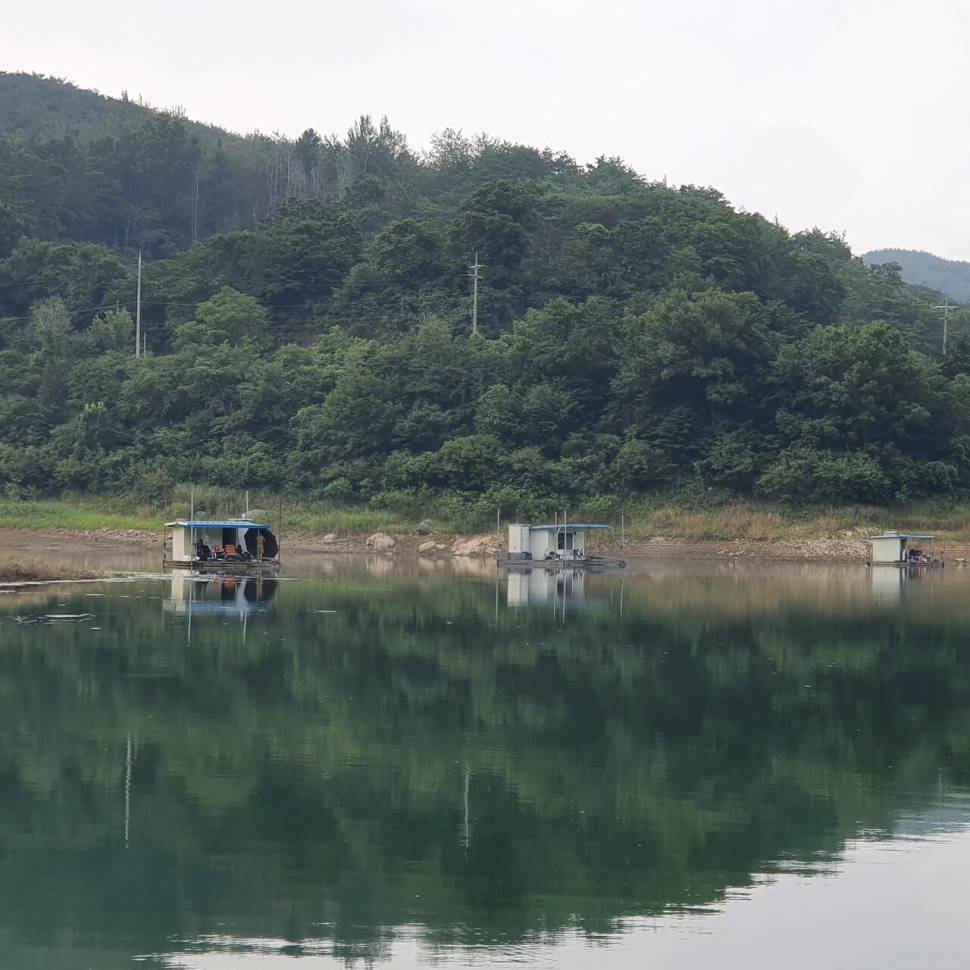 실리곡낚시터 조황입니다 (조황조행기 - 충주호조황속보)