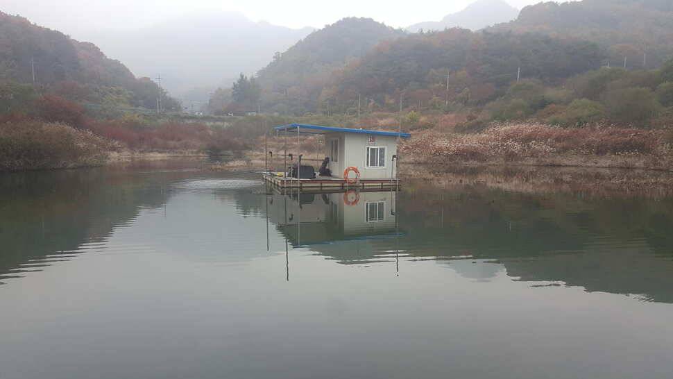 단풍이 고운 종점낚시터입니다 (조황조행기 - 충주호조황속보)