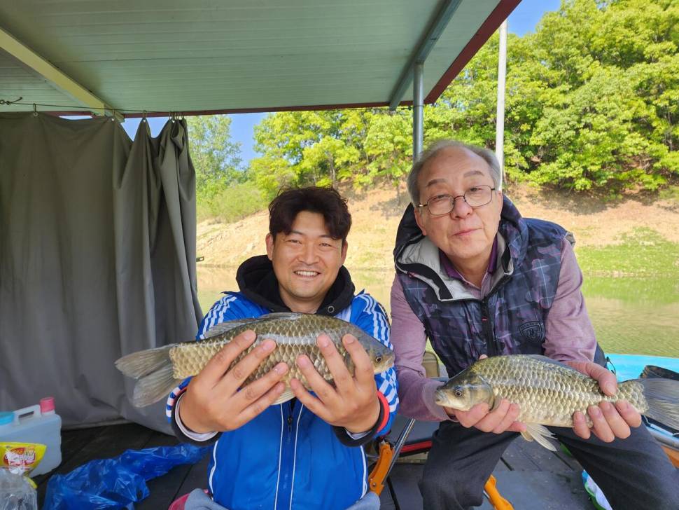 청풍 한버들 허릿급 조황입니다 (조황조행기 - 충주호조황속보)