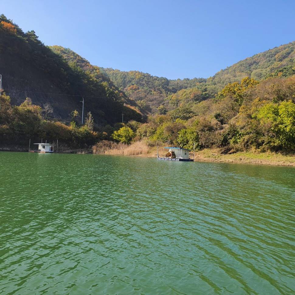 후산낚시터 조황 안내 입니다 (조황조행기 - 충주호조황속보)